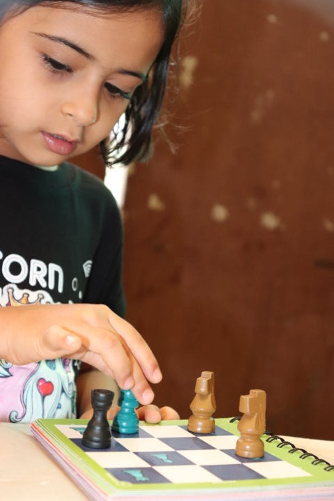 Single Player Chess Board Game You Can Play Alone for The Whole Family 1 Player Chess Puzzle Chess Player Beginner to Experts Chess for Kids